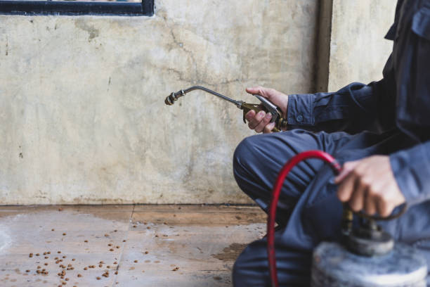 Best Pest Prevention Services  in Wilson, NC